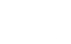 Prymus.AI White Logo